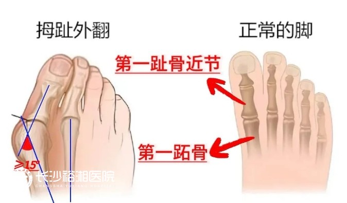 微信截圖_20250327141116.png